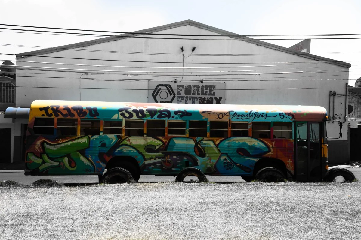 Bus · Tribu Suva